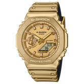 GM2100YMG9A9