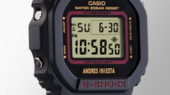 DW5600AI-1